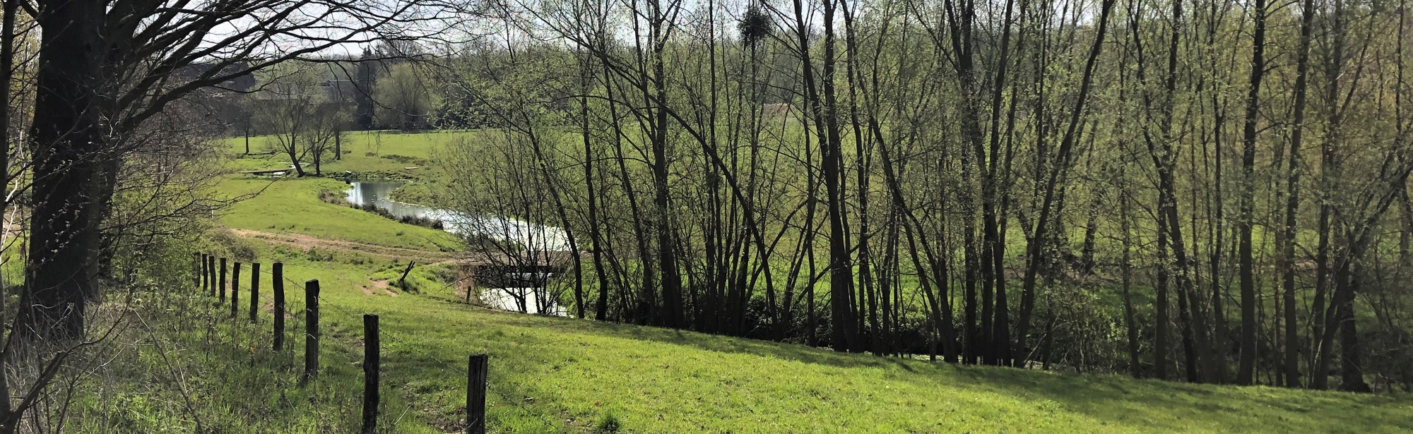 De Geleenbeek In Een Natgeregend Groen Landschap