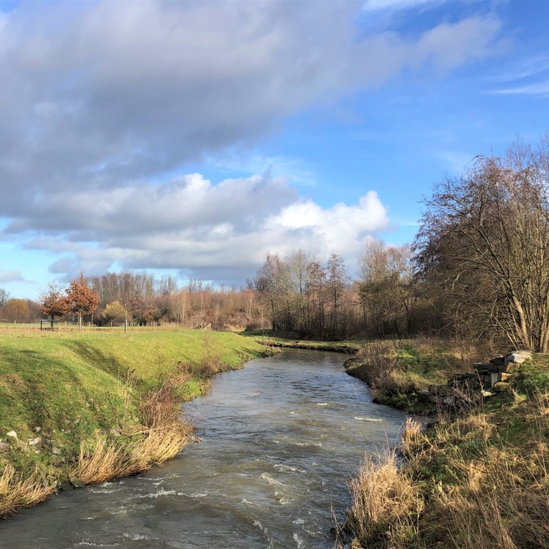 De Geleenbeek Op Een Regenachtige Dag In Mei