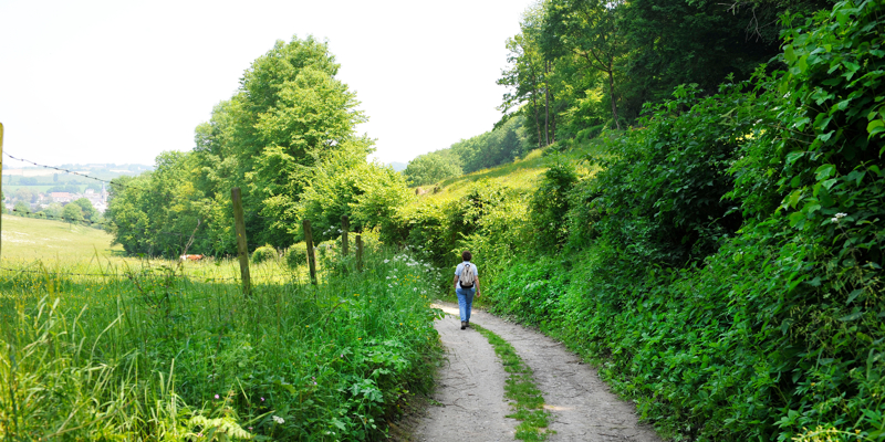 Een holle weg in Gerendal omringt met groene struiken en bomen met een wandelaar op de achtergrond