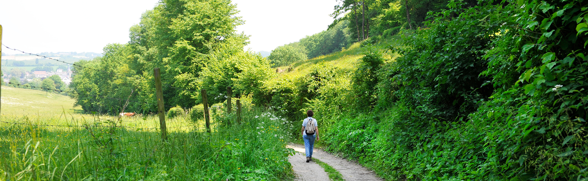 Een holle weg in Gerendal omringt met groene struiken en bomen met een wandelaar op de achtergrond