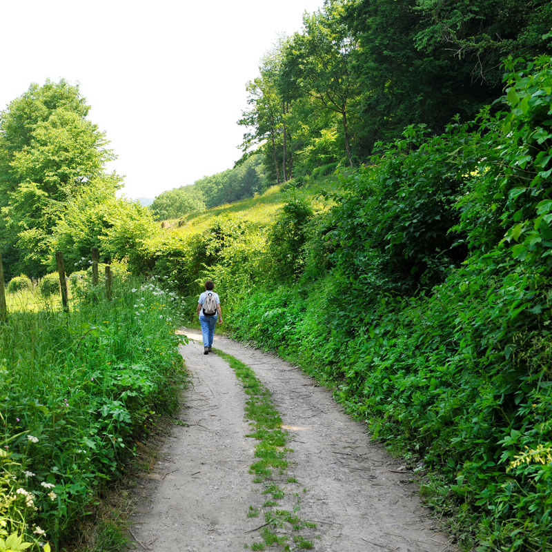 Een holle weg in Gerendal omringt met groene struiken en bomen met een wandelaar op de achtergrond