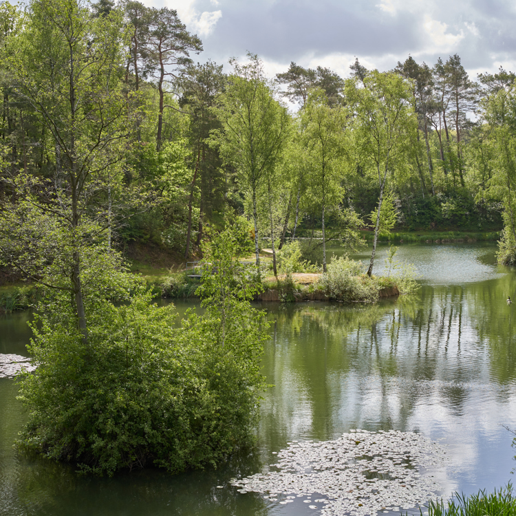 Klein meer in het Tüdderner Venn in de gemeente Selfkant