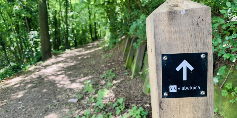 Een routepaaltje van de Via Belgica in het bos