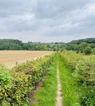 Mooi groen wandelpaadje in Meerssen