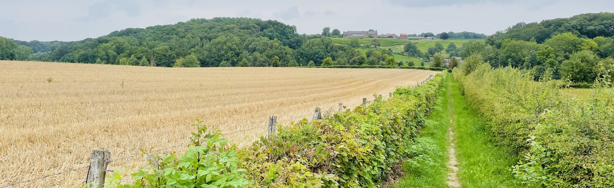 Mooi groen wandelpaadje in Meerssen