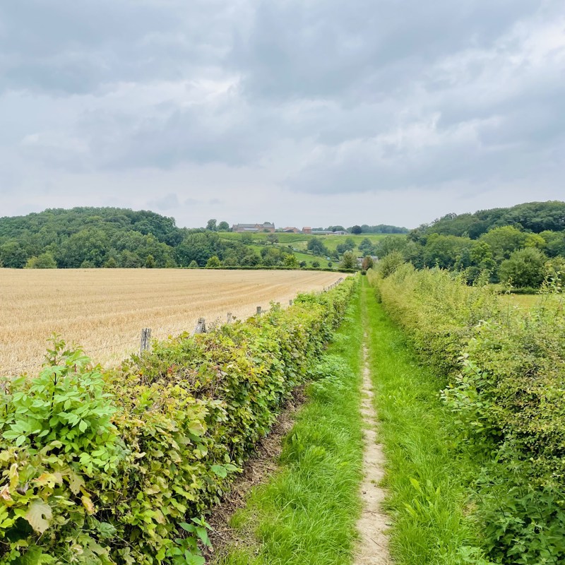 Mooi groen wandelpaadje in Meerssen