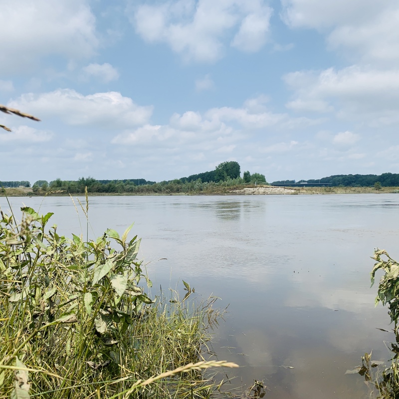 Uitzicht over de Maas