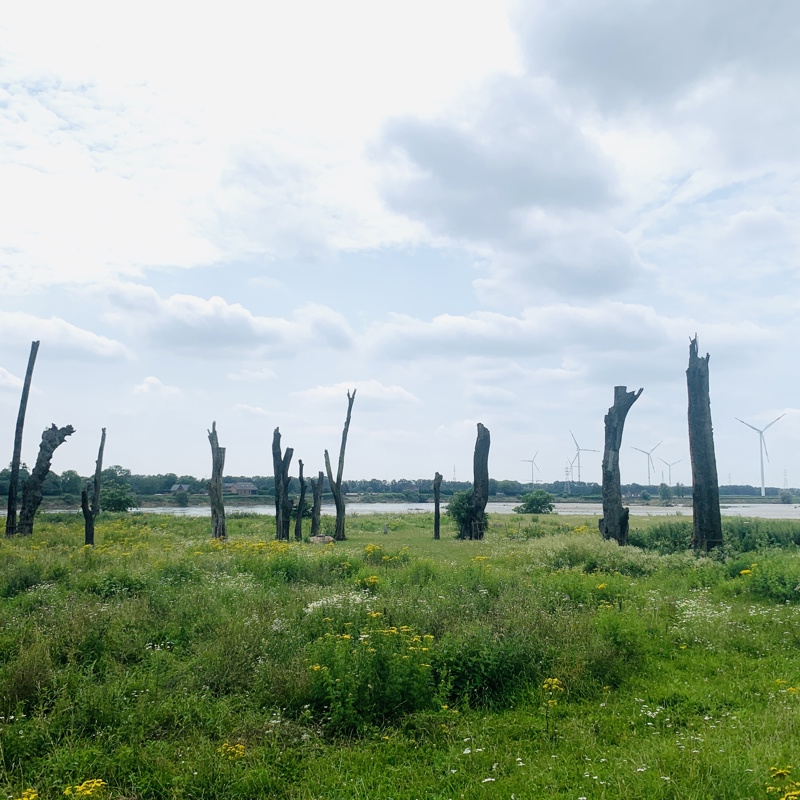 Woodhenge Meers