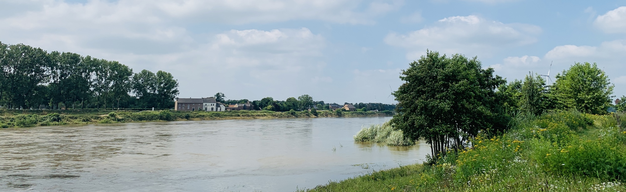 De Maas loopt langs de natuurrijke oevers van Rivierpark Maasvallei