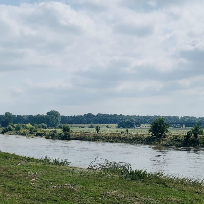 De Maas stroomt door Rivierpark Maasvallei