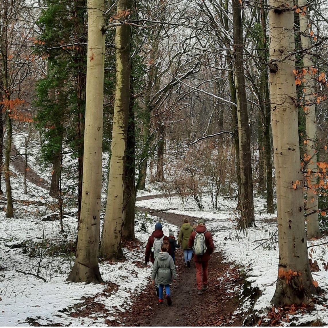 Een groepje wandelaars tijdens winterwandeling in het bos op een modderig paadje