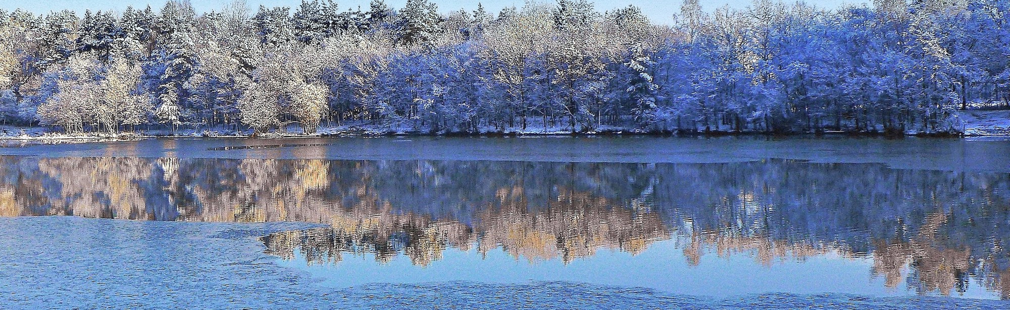 Bevroren meertje omringd met besneeuwde bomen