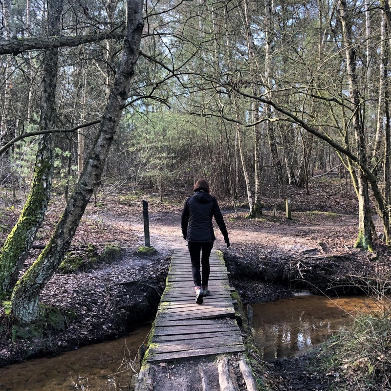 Wandelaar loopt over een wandelbrug door het bos