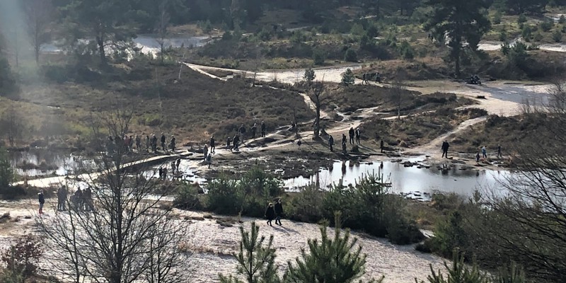 Uitzicht over de heide met wandelaars in de winter