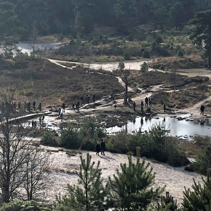 Uitzicht over de heide met wandelaars in de winter