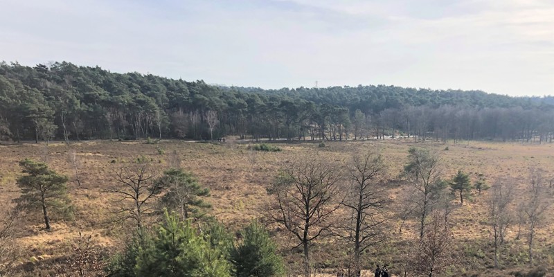 Uitzicht over het landschap van de heide