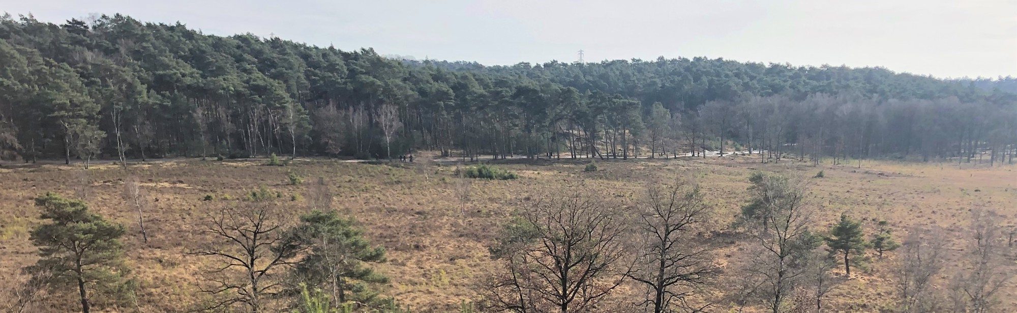 Uitzicht over het landschap van de heide