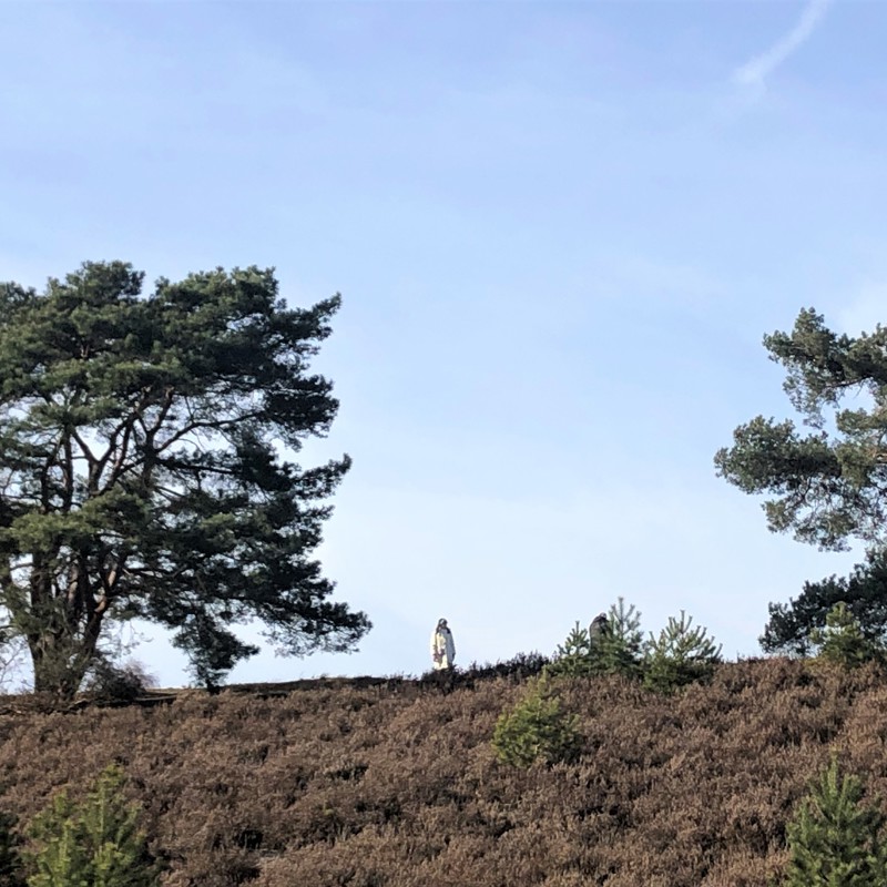 Een vrouw wandelt over de heide