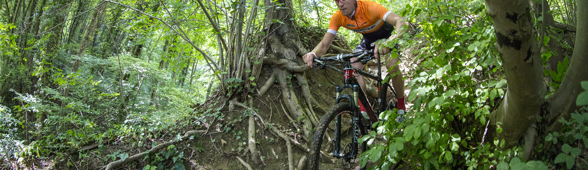 Man met oranje shirt is aan het mountainbiken in het groene bos