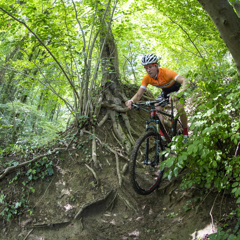 Man met oranje shirt is aan het mountainbiken in het groene bos