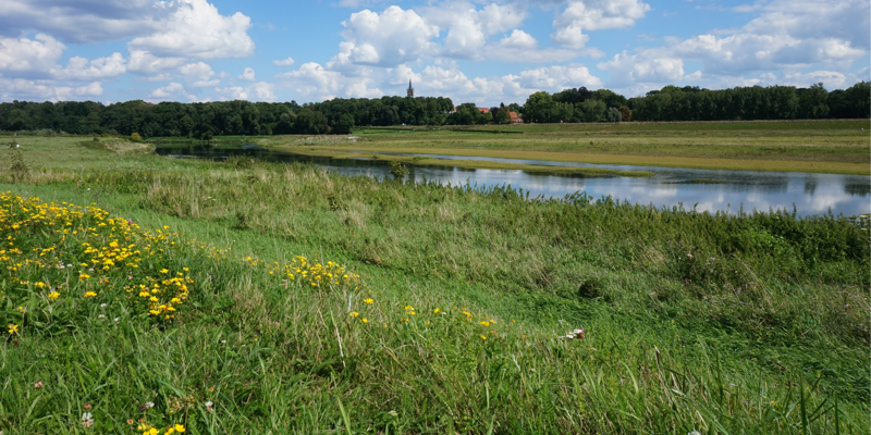 Een sereen natuurlandschap met weiland en uiterwaarden met uitzicht op de kerk in Stein