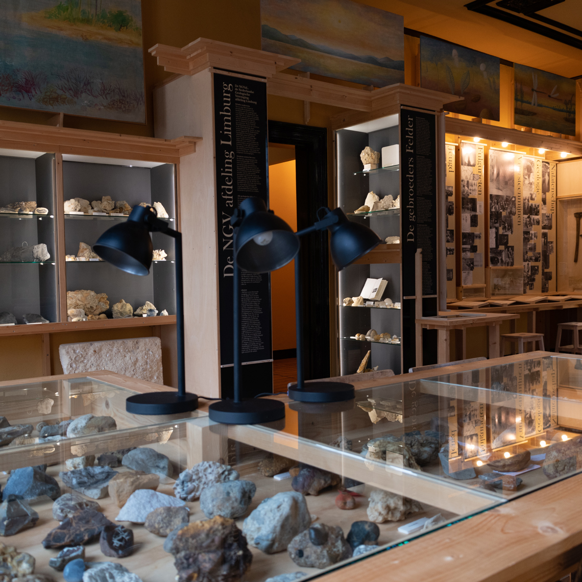 Kijkje in het natuurhistorisch museum met allerlei stenen in vitrines. 