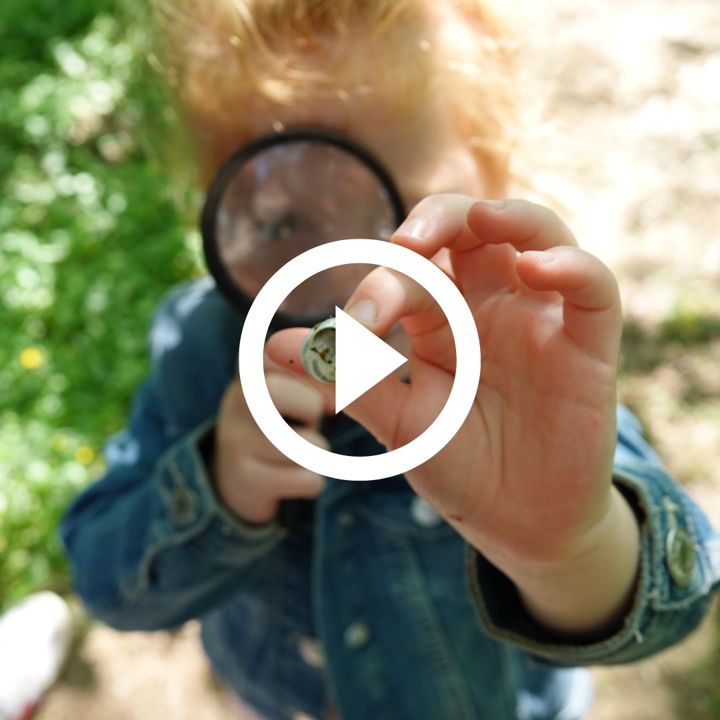 Meisje houdt een slak vast en kijk ernaar met een vergrootglas - playbutton