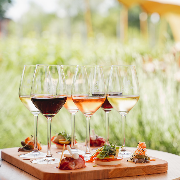 6 proefglaasjes en culinaire hapjes op een tafeltje voor de wijngaard bij Wijndomein St. Martinus