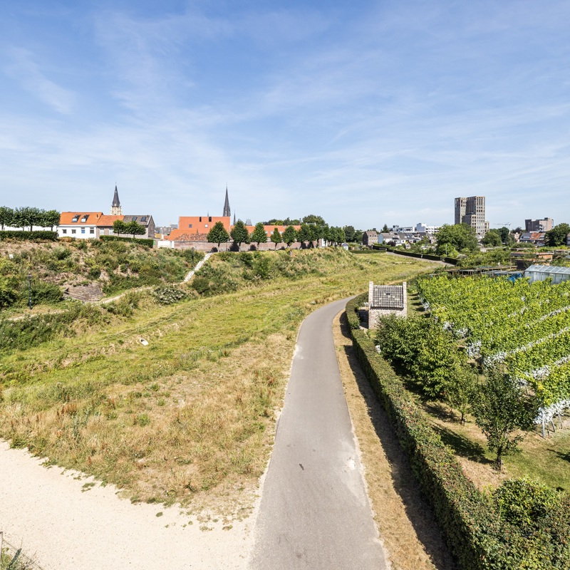 Een uitzicht over wijngaard Fort Sanderbout en de stadswallen van Sittard vanuit de lucht
