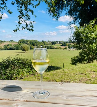 Een wit wijntje van Wijndomein St. Martinus staat uitgestald op tafel met Vijlen op de achtergrond