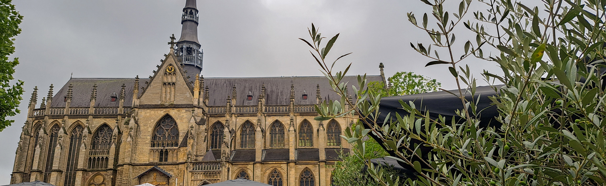 De imposante basiliek van Meerssen met daarvoor de terrasjes op de markt