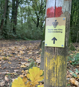 Bewegwijzering van de Route des Vins in Sittard bevestigd op een houten paaltje in een herfstig bospaadje