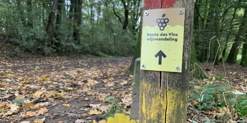 Bewegwijzering van de Route des Vins in Sittard bevestigd op een houten paaltje in een herfstig bospaadje