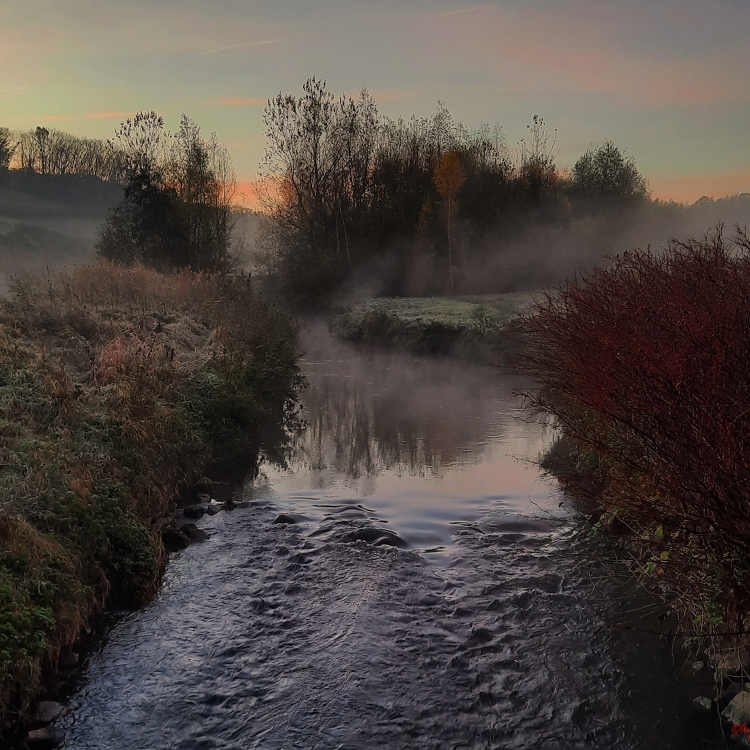 Een beek die door een natuurlandschap stroomt vroeg in de ochtend en omhuld wordt in mist