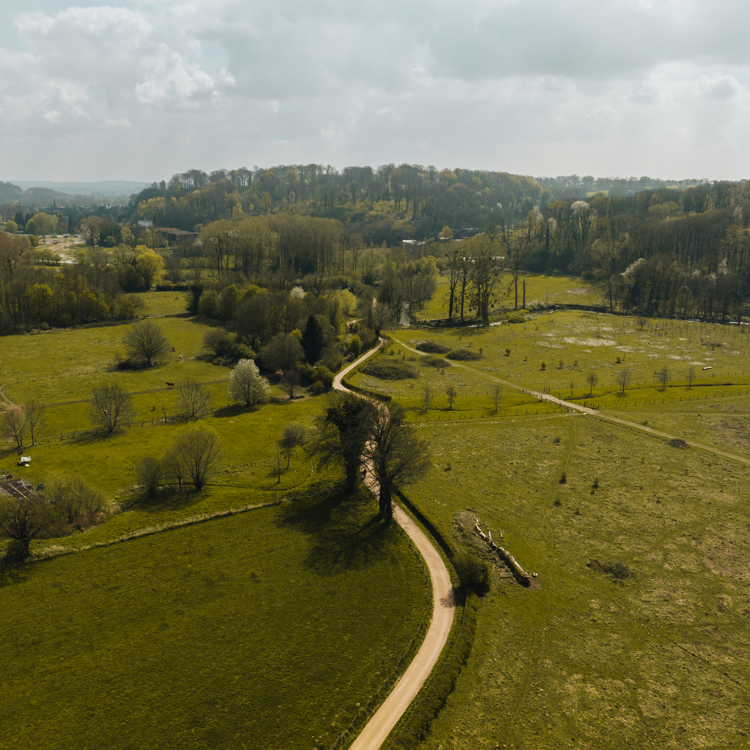 Een kronkelweg leidt je door een groen landschap