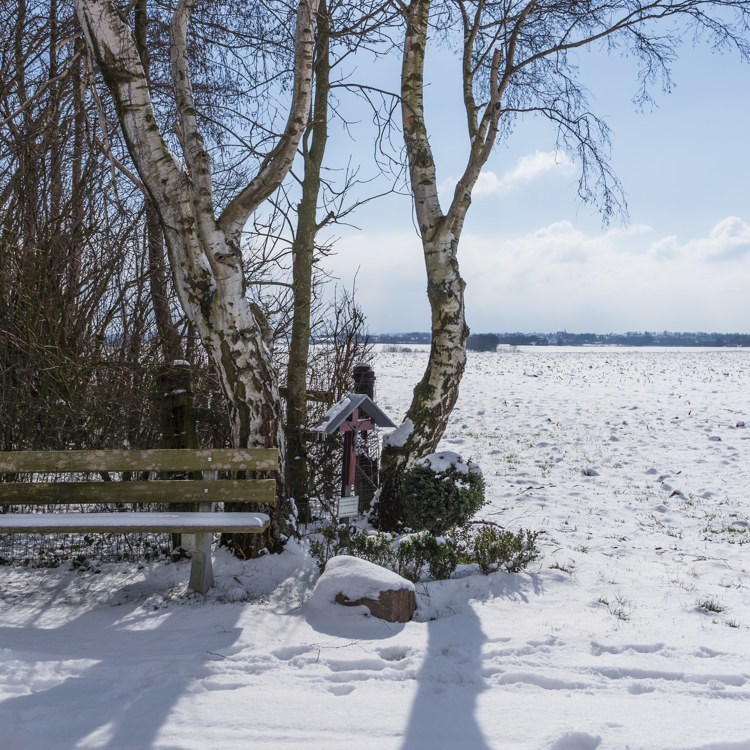 Sneeuw op het plateau van Margraten met een bankje en wegkruisje