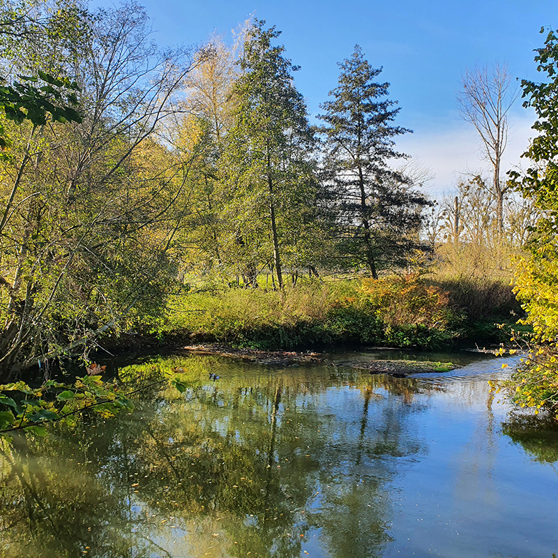 Rivier de Geul in natuurgebied Ingendael in de herfst