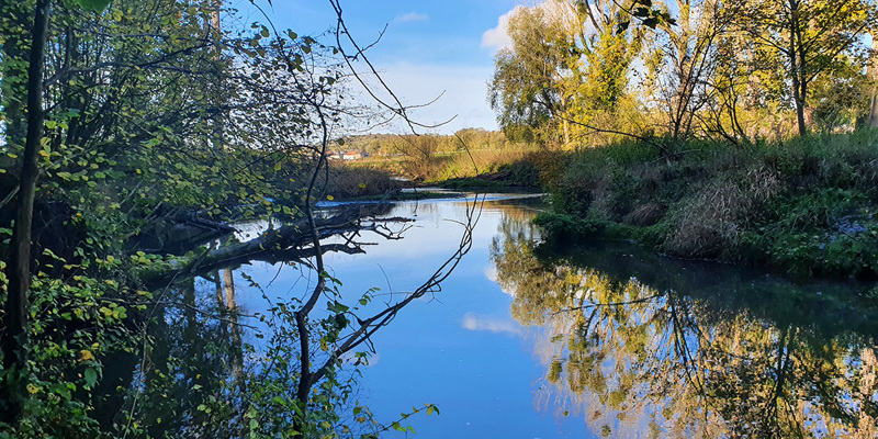 Uitkijkend over de Geul in natuurgebied Ingendael nabij Valkenburg