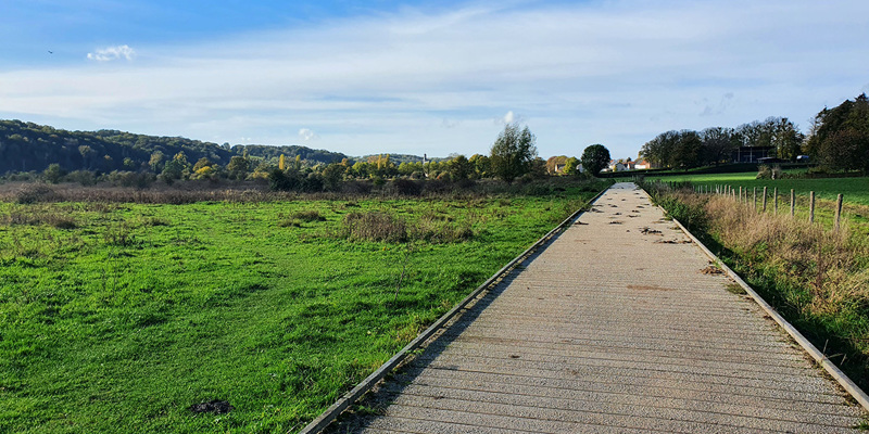 Een vlonder wandelpad in natuurgebied Ingendael nabij Valkenburg