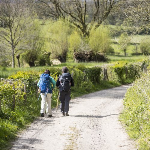 Twee dames met backpack wandelen over een onverharde weg richting de heuvels