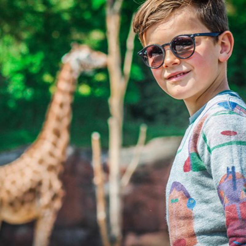 Jongetje met zonnebril kijkt om met een giraf op de achtergrond 
