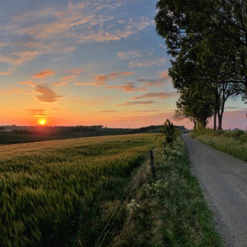 Natuurfoto van het zuid-limburgse heuvelland met zonsondergang