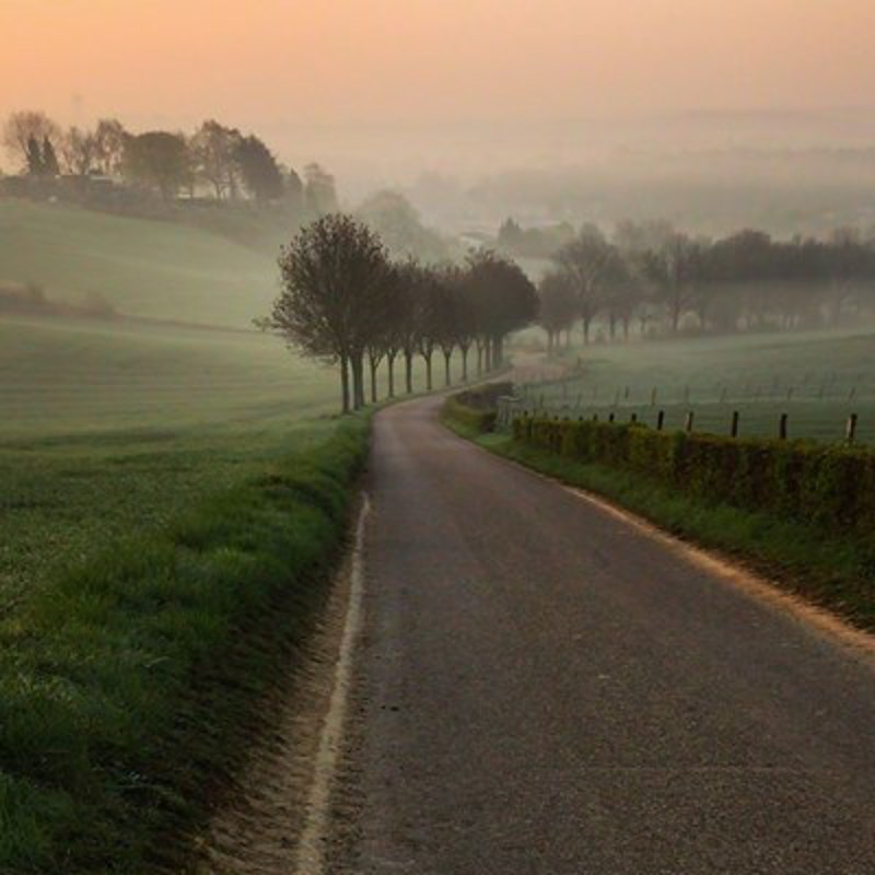 Ochtendfoto met dauw van een mooie weg door het heuvelland. 