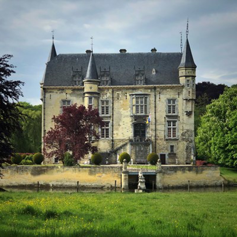 Kasteel omringd door natuur.