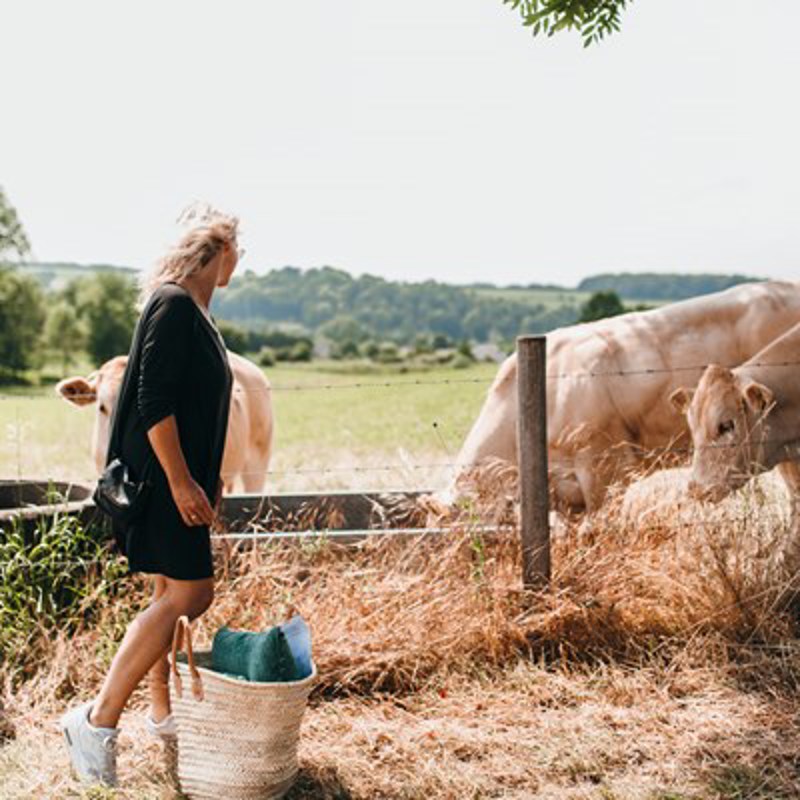 Dame in zwart jurkje staat bij een hek met een picknickmand, kijkend naar de beige koeien. 