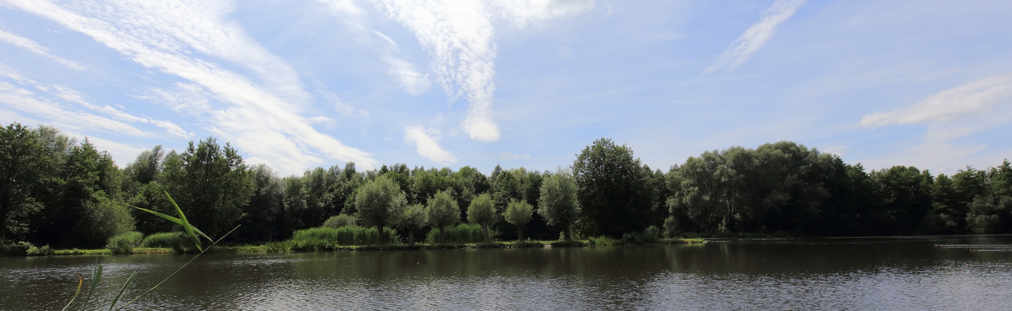 Waterplas met boomgrens en blauwe lucht.