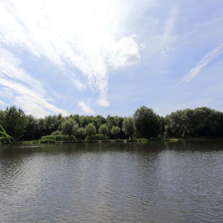 Waterplas met boomgrens en blauwe lucht.