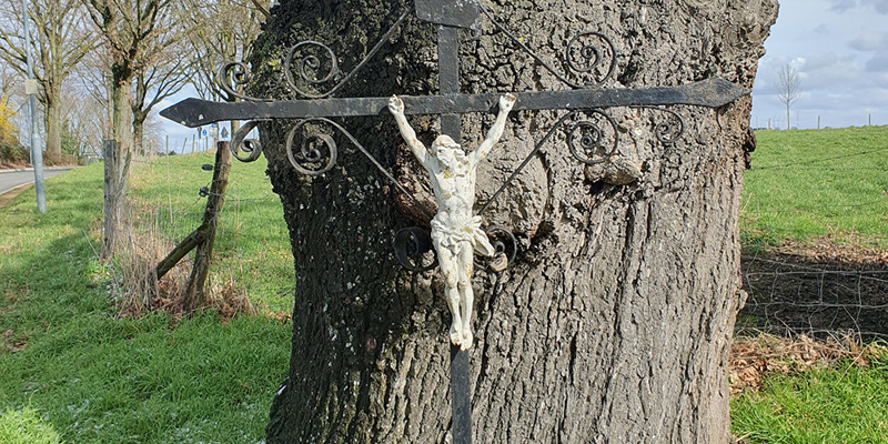 Een kruis dat bij een boom is geplaats