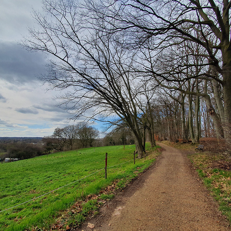 Een wandelpad in het heuvelland