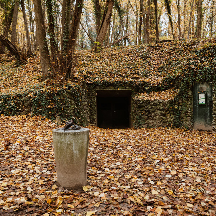 De ingang van de prehistorische vuursteenmijn Rijckholt bedolven onder de herfstbladeren